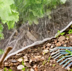 Insektenschutz-Netz weiss 9003117067745