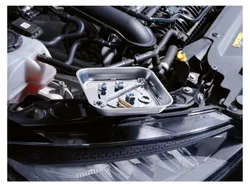 PARKSIDE® Magnetschale (quadratisch groß) 4052916913024