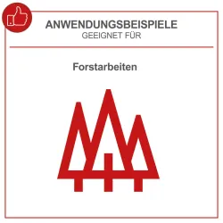 Akku-Kettensäge BCHS350-ProS Duo Scheppach 40V 2549 612
