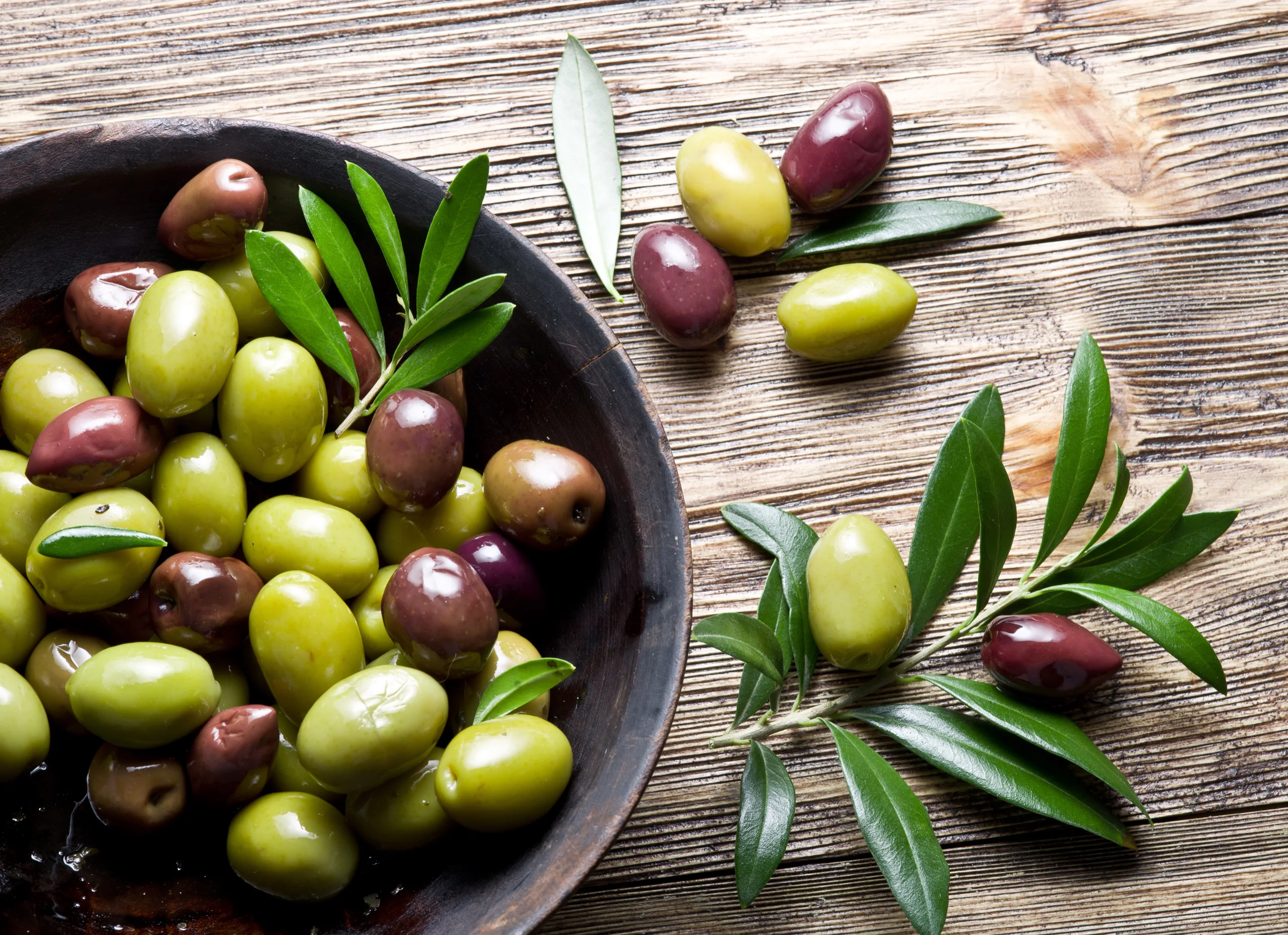 Celebrating Heritage at the Silikou Olive Tree Festival