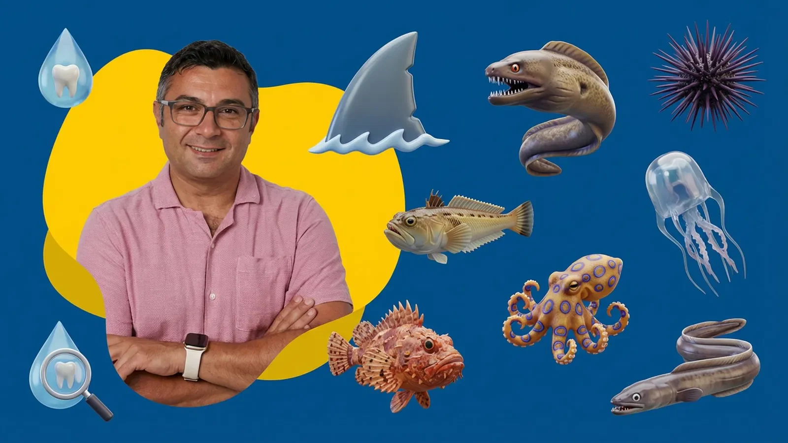 “The Most Dangerous Animals of the Mediterranean Sea”