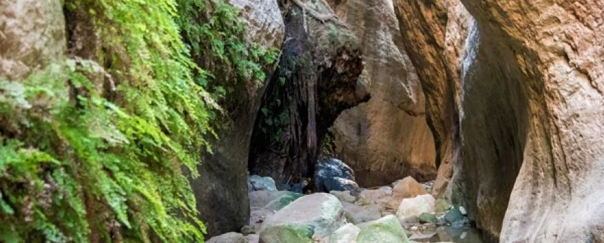 Explore Avakas Gorge: A Cyprus Hiking Adventure