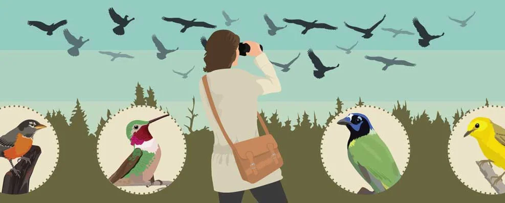 Autumn Bird Migration Celebration