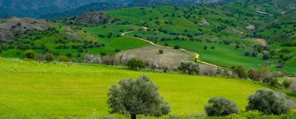 Discover Cyprus: Trails of the Past Hiking Adventure