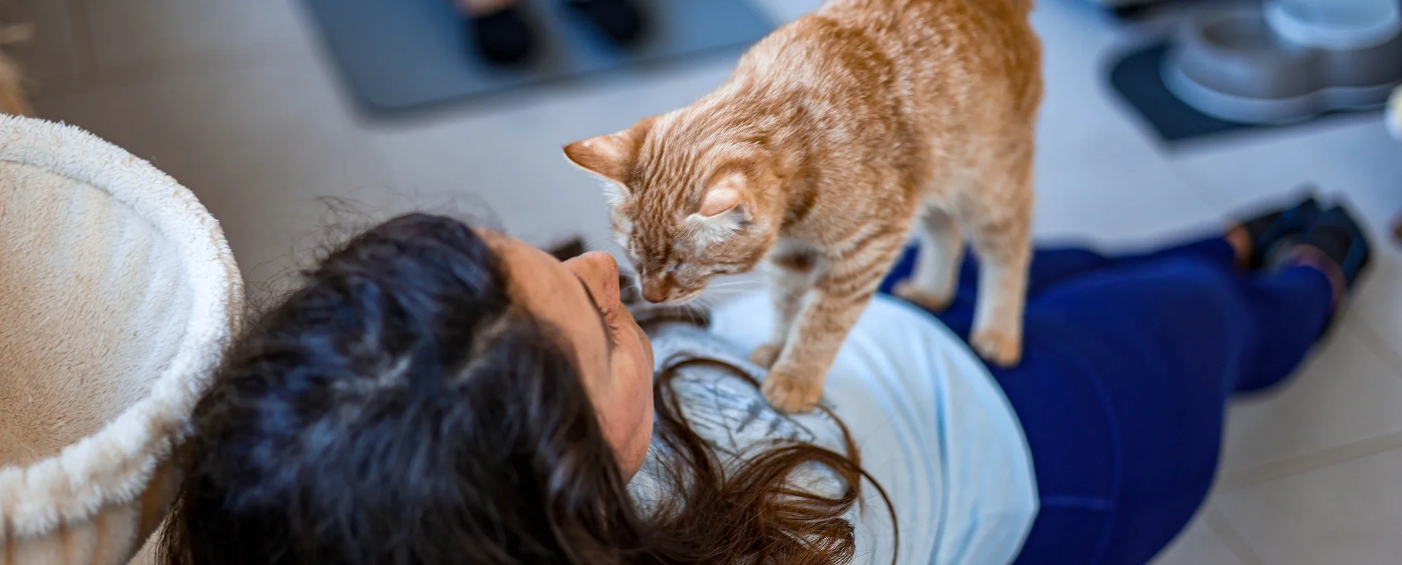 Γιόγκα με Γάτες: Χαλαρώστε με Γατοφίλους