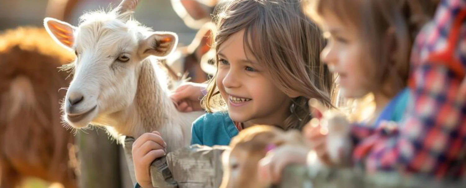 Φτιάξτε το Δικό σας Χαλλούμι: Μια Εμπειρία σε Κυπριακή Φάρμα