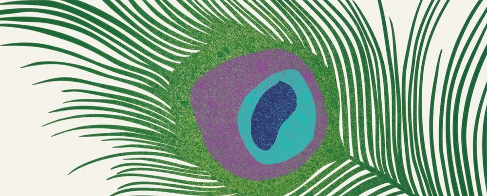 Book club meeting: Americanah