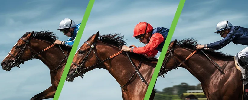 Nicosia Race Club: Experience the Thrill of Horse Racing