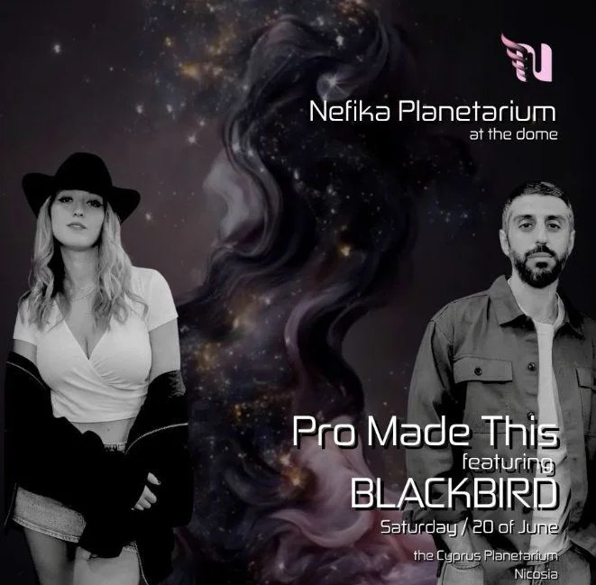 Pro Made This & Blackbird: Dome Techno Experience