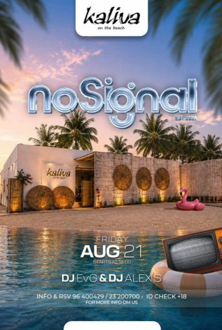 No Signal: Sunset Beach Party with DJ EVG & DJ Alex S