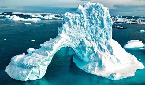 Antarctica: Director Anton Ptushkin Live in Limassol