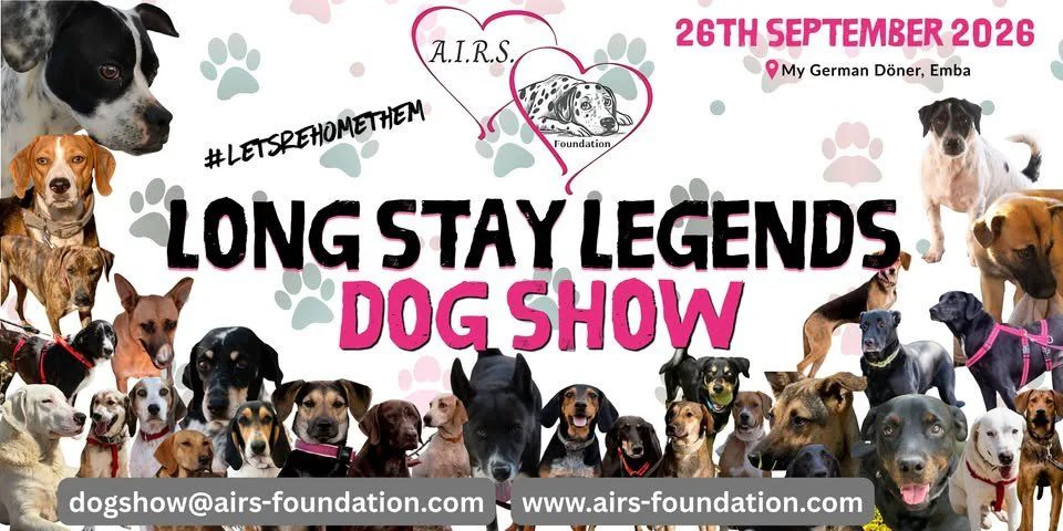 Paphos Dog Adoption Day: Find Your Forever Friend