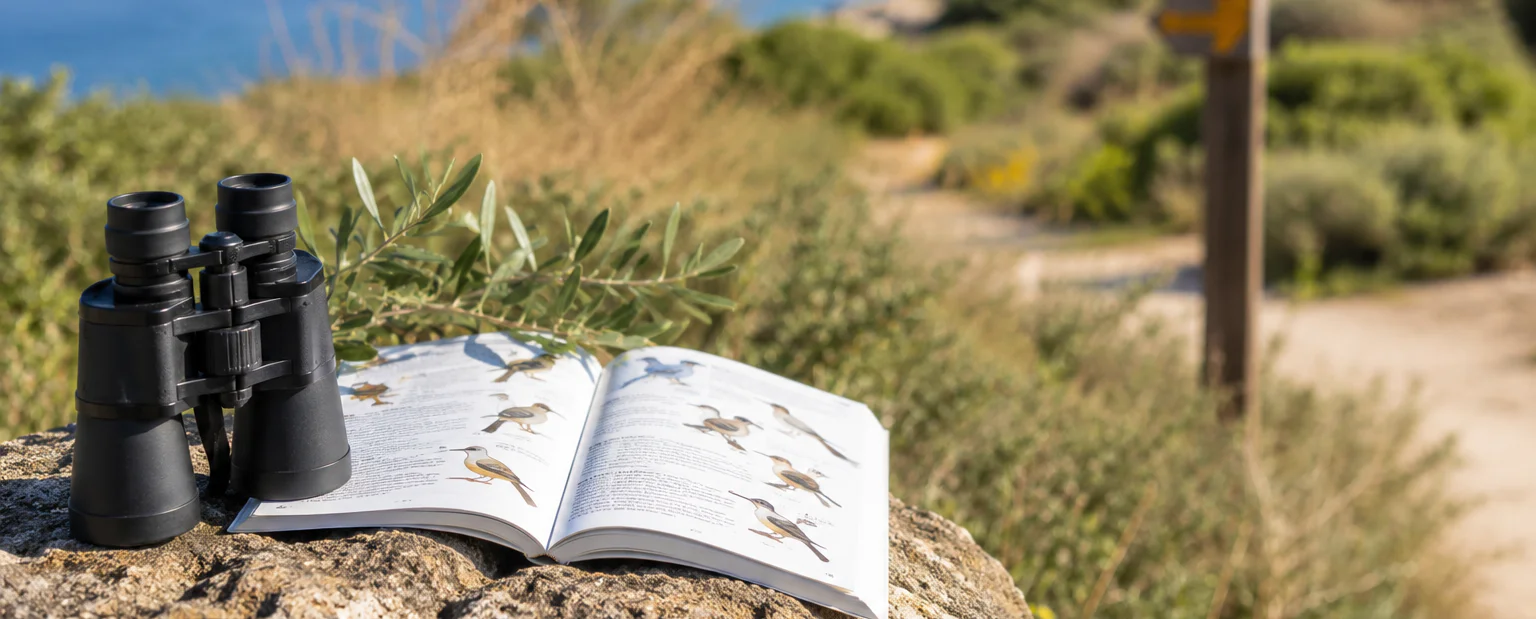 Birdwatching at Athalassa Park and Agios Sozomenos