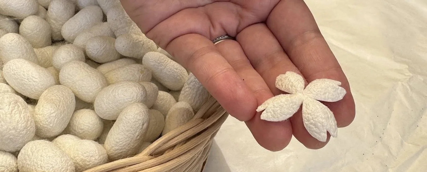 Silk Festival: A Journey on the Silk Road