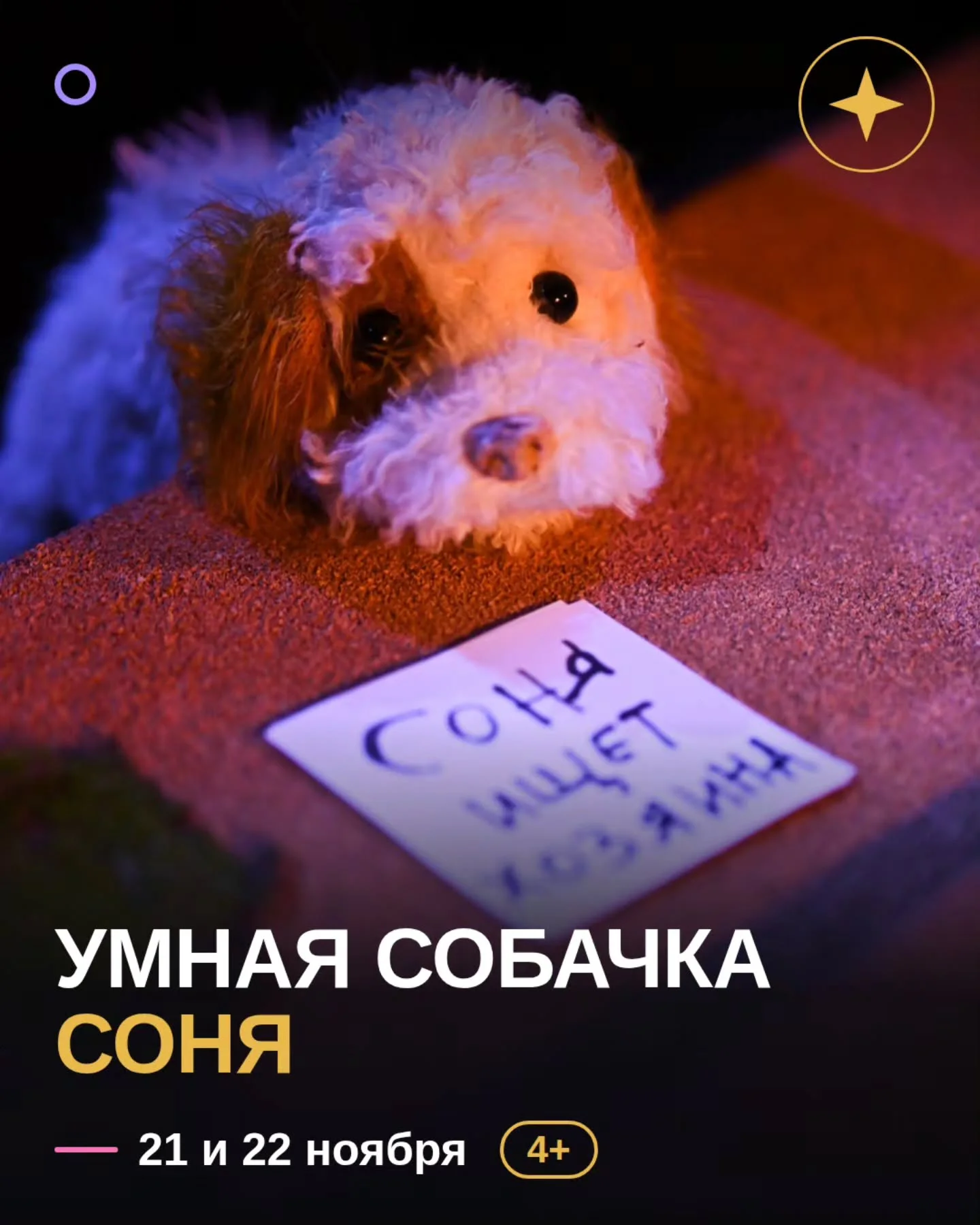 Sonya the Clever Dog — children's play