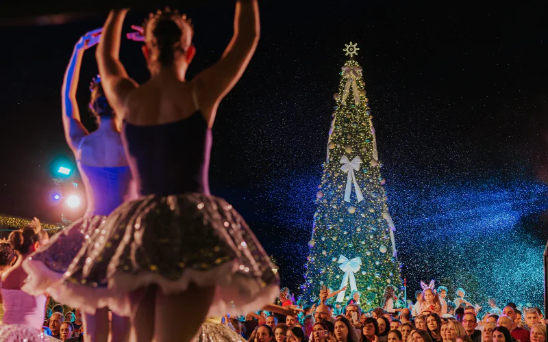Christmas on the Sea 2026 — tree lighting at Limassol Marina
