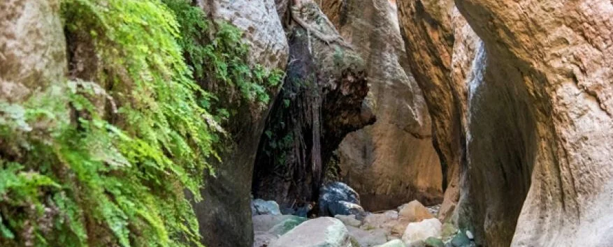 Поход по ущелью Авакас