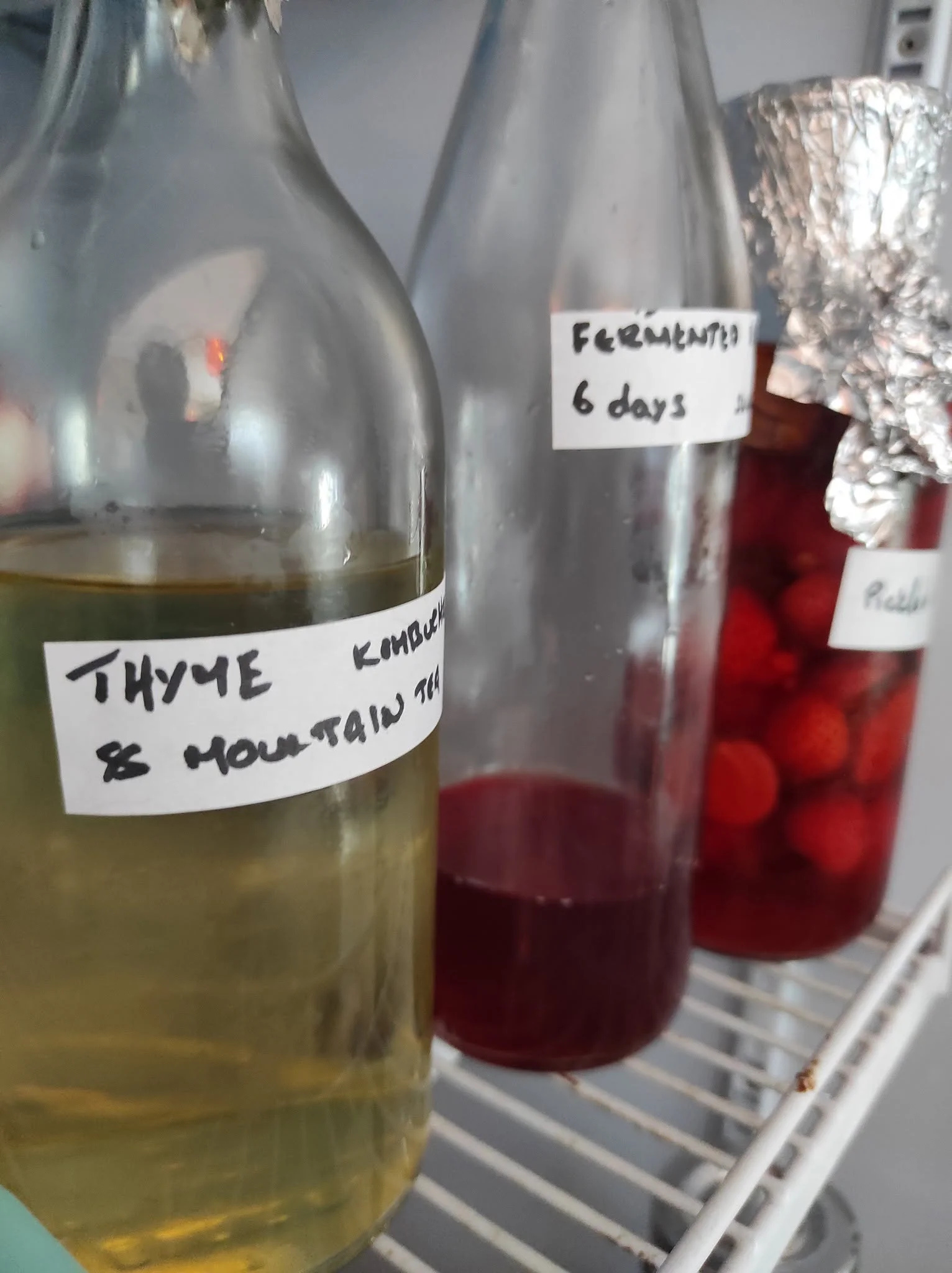 Roots and Cultures: A Celebration of Fermentation