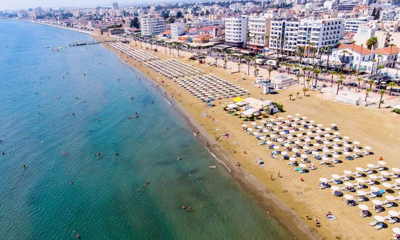 Φοινικούδες