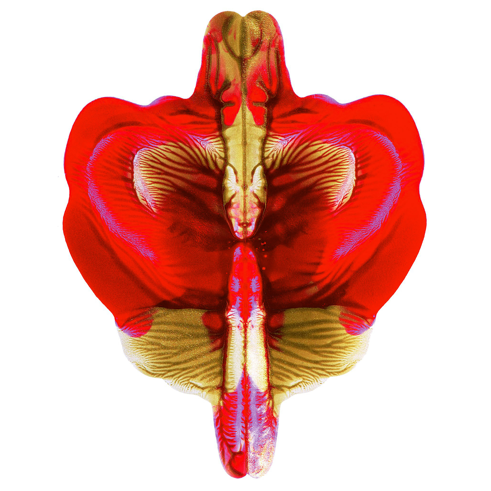 Gute Farbe, 9-Farben-Set, je 500 ml