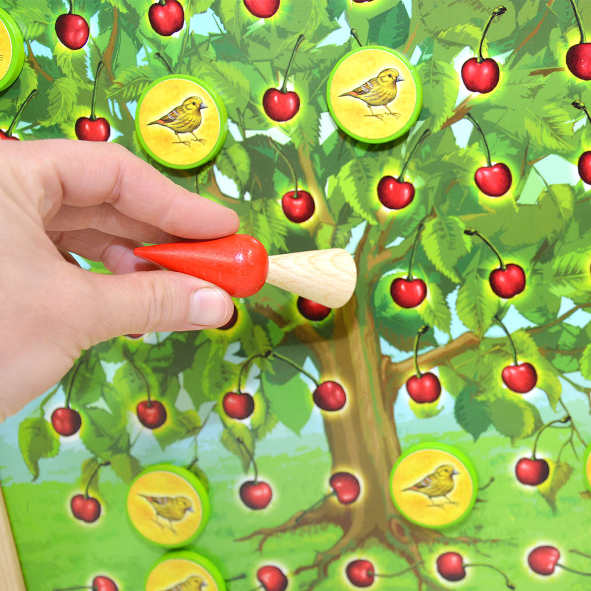 Kirschräuber, in Holzbox