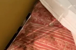 Murdărie și gândaci: Autoritățile anunță controale după apariția unui video din secția pentru copii a Spitalului Raional Nisporeni (VIDEO)