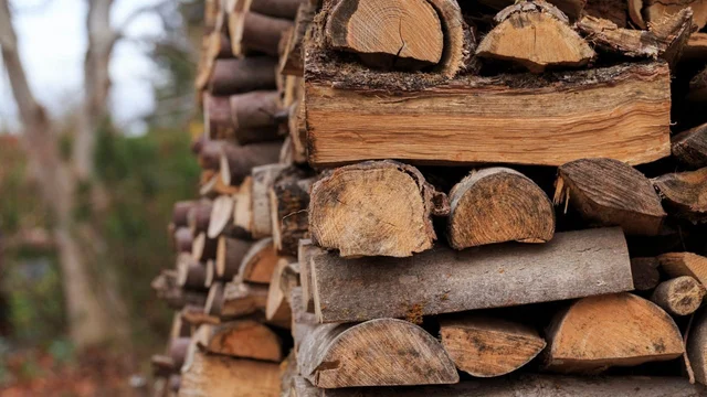 Lemn de foc: În stocuri sunt peste 91.000 de metri steri. Prețul, mai mare cu până la 10% față de anul trecut
