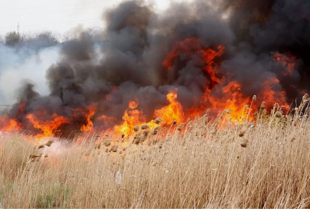 Codul galben de pericol de incendii, prelungit până pe 21 august
