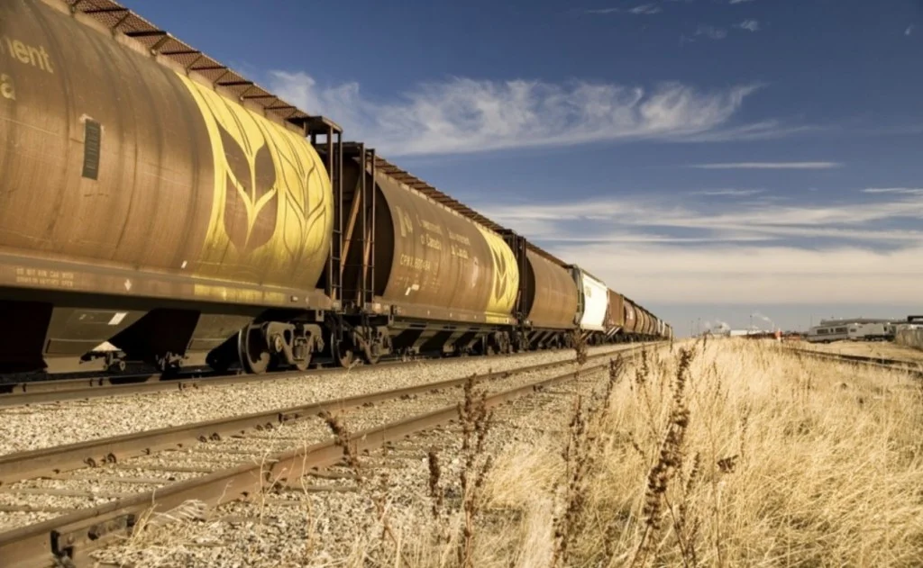 Transportul feroviar al cerealelor ucrainene prin R. Moldova spre Constanța, subiect de discuții între Chișinău și Kiev