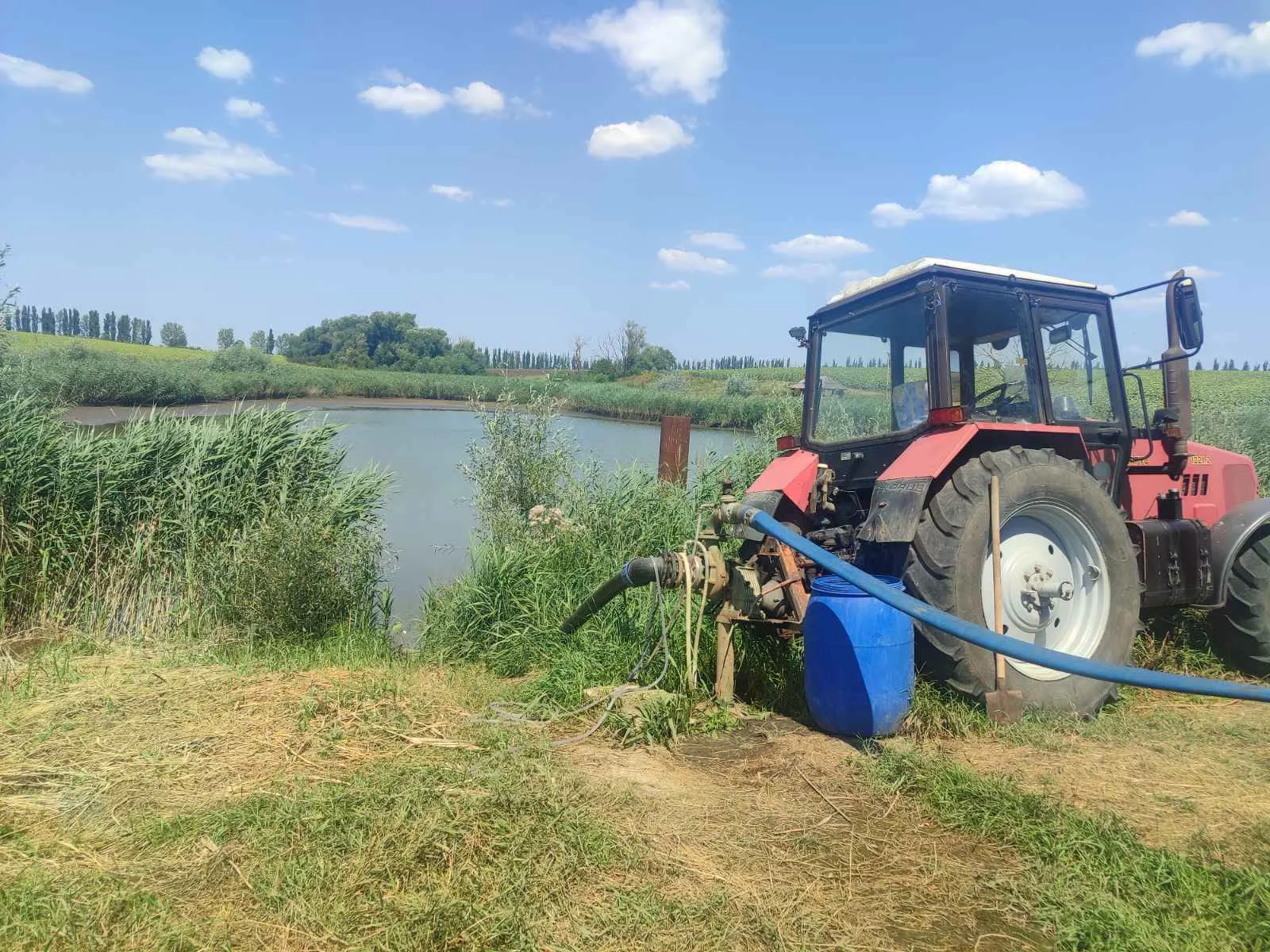 Zeci de arbori de salcâm, tăiați ilegal la Rîșcani. Prejudiciul depășește 10 mii de lei