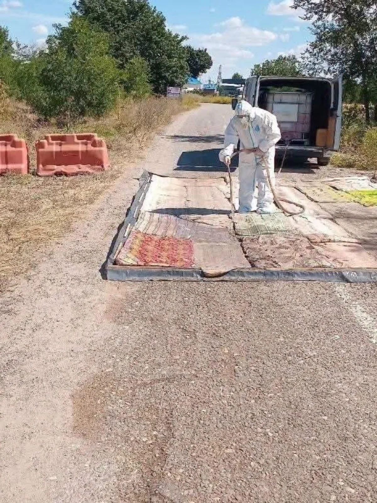 Carantină instituită în Vulcănești după depistarea unor focare de pestă porcină africană