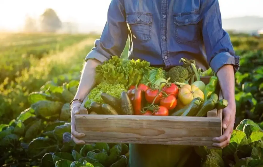 Exporturile agroalimentare ale R. Moldova își revin după trei ani de scădere. Creșterea ajunge la 400 de milioane de euro