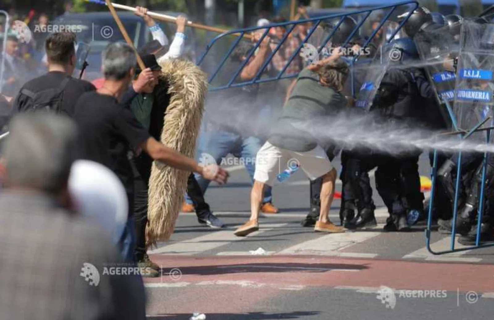 „Am venit să salvăm Miorița”. Protestul oierilor de la București a degenerat în violențe și mai multe persoane au fost rănite
