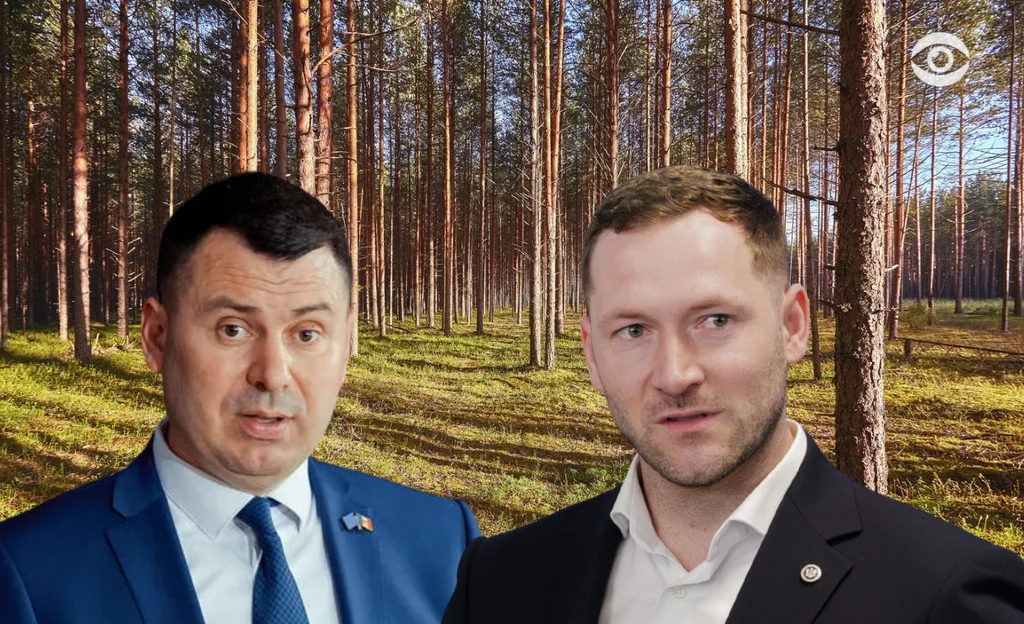 „Intrați în gospodăriile oamenilor” vs „Acțiunea nu este îndreptată împotriva cetățenilor”. Acuzații între Costiuc și Hajder pe subiectul verificărilor la vânzarea lemnului