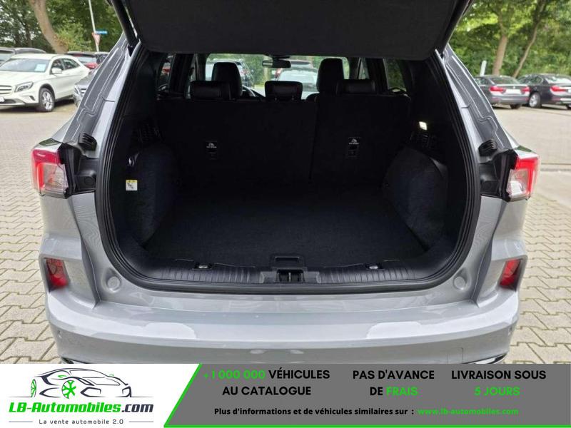 Ford Kuga 2.0 EcoBlue 150 mHEV BVM - Photo 10 / 10
