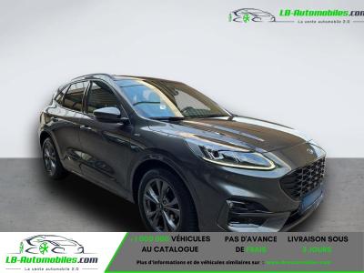 Ford Kuga 2.0 EcoBlue 150 mHEV BVM