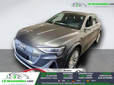 Audi E-tron S 503 ch