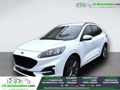 Ford Kuga 2.0 EcoBlue 150 mHEV BVM
