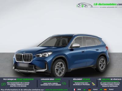 BMW i iX 1 xDrive30 313ch BVA