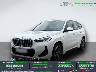 BMW i iX 1 xDrive30 313ch BVA