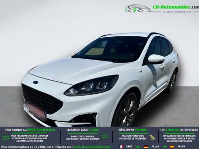 Ford Kuga 1.5 EcoBlue 120 BVM