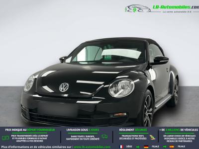 Volkswagen Beetle Beetle