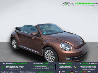 Volkswagen Beetle Beetle