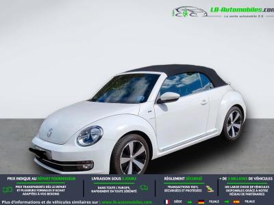 Volkswagen Beetle Beetle