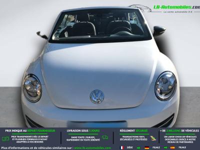 Volkswagen Beetle Beetle