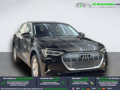 Audi E-tron 50 quattro 313 ch