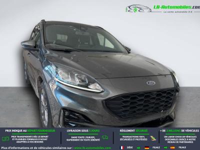 Ford Kuga 1.5 EcoBlue 120 BVM