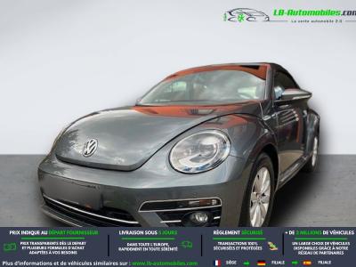 Volkswagen Beetle Beetle