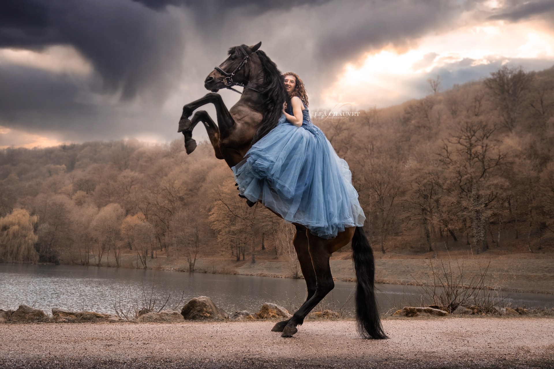 Chevaux