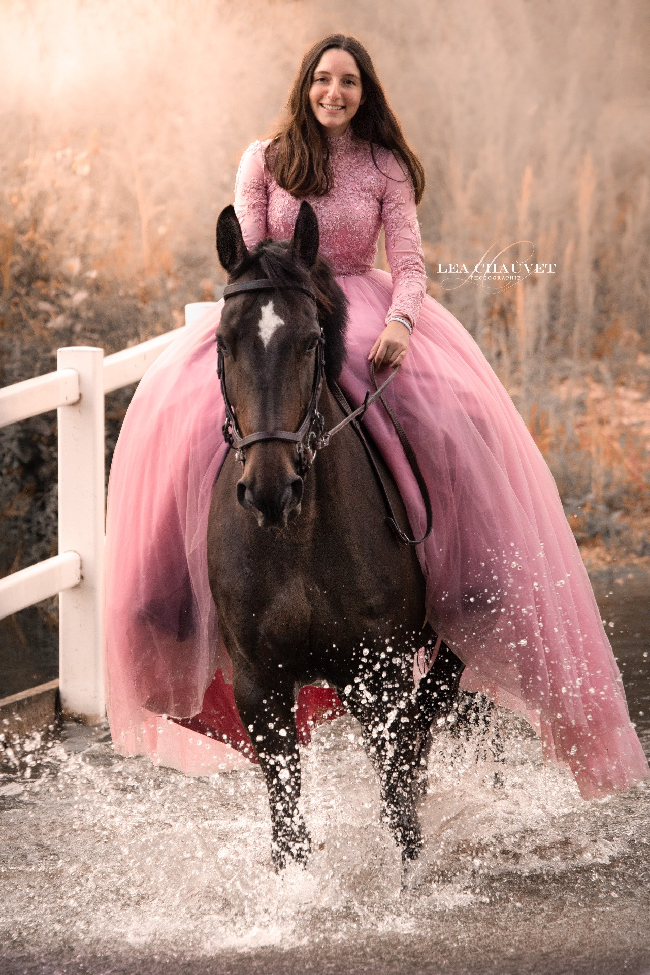 Chevaux